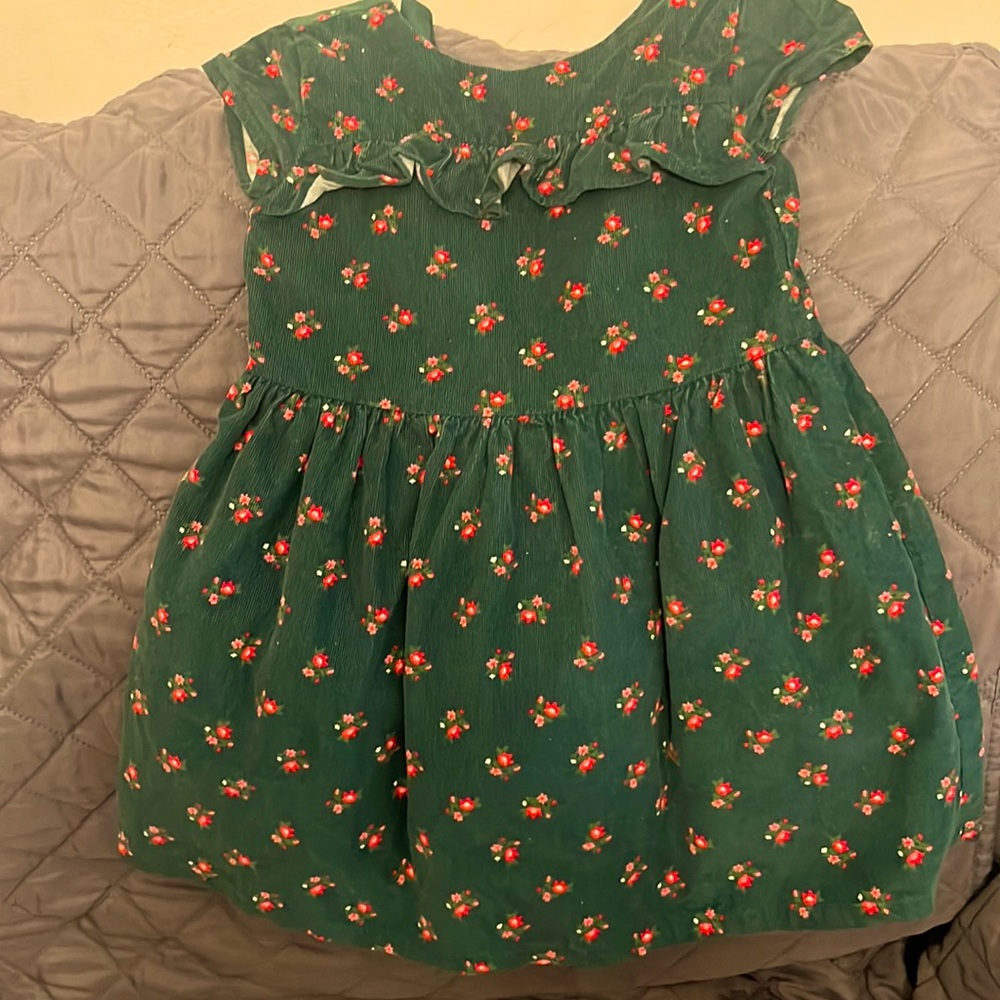 3T green corduroy dress with red and pink flowers.